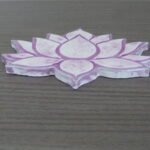 Dessous_plat_Lotus (2)