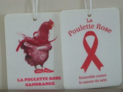 Feuille désodorisable "La Poulette Rose" – Image 2